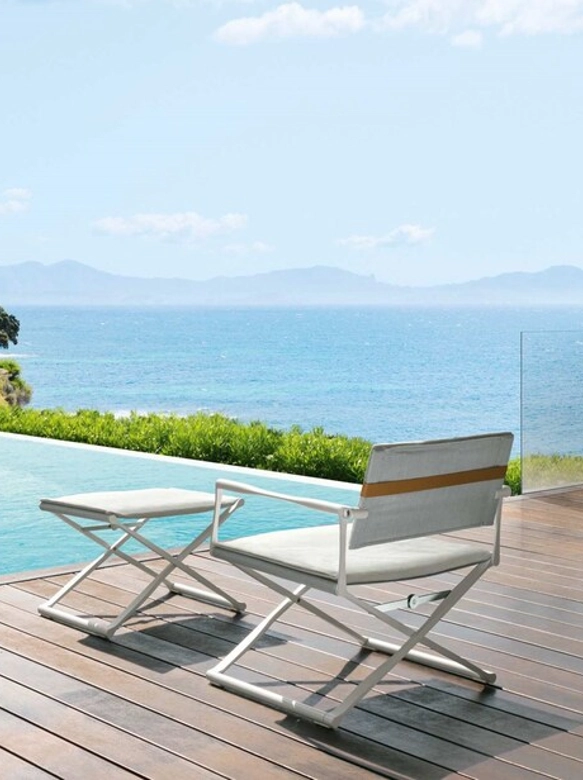 Riviera Director Tekli Koltuk